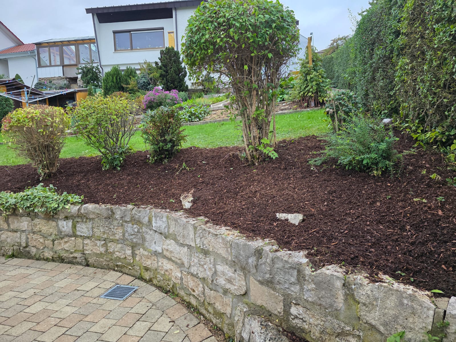 Garden photo 9